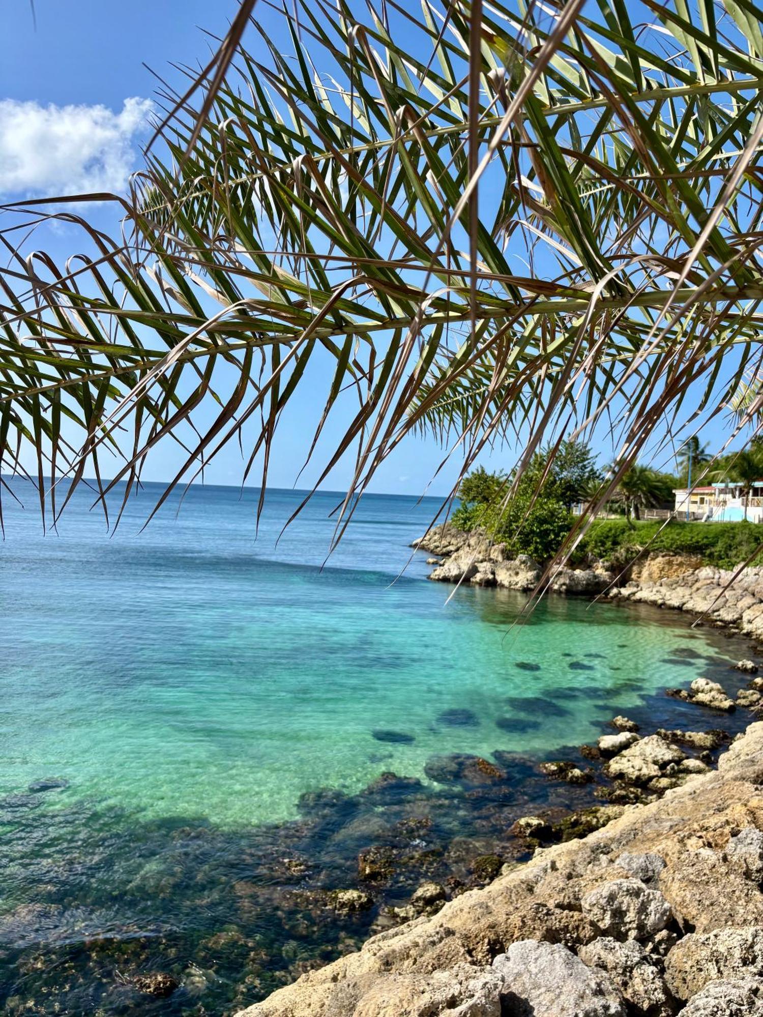 Gite Tournesol - A 2 Min De La Plage Et Du Bourg Anse-Bertrand Exterior foto